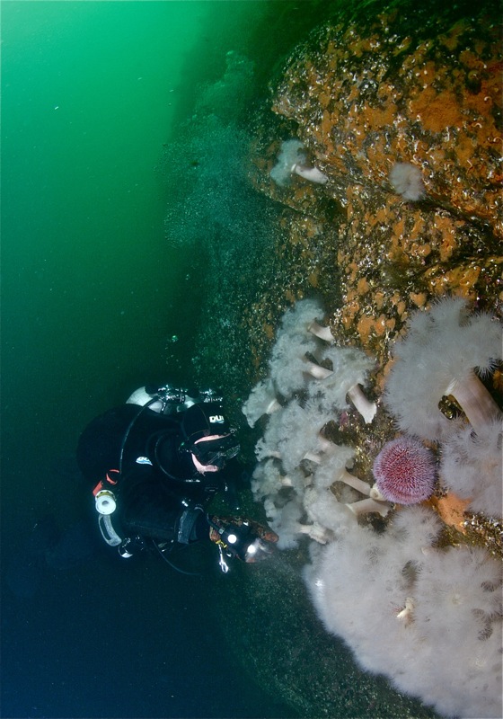 Где-то в Северном море... Где-то в Северном море...