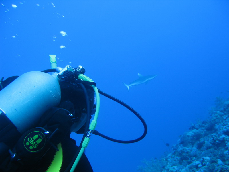 Сафари 04.09 Сафари 04.09