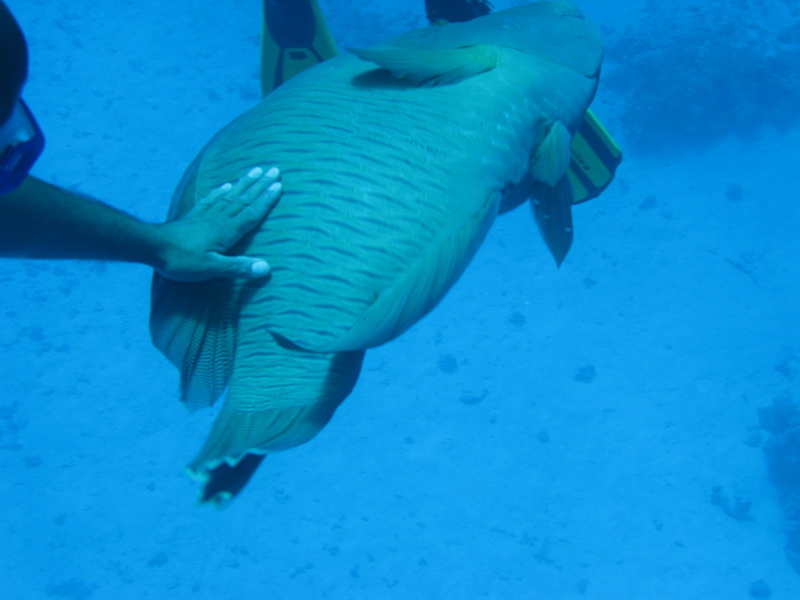 афари 04.09 афари 04.09