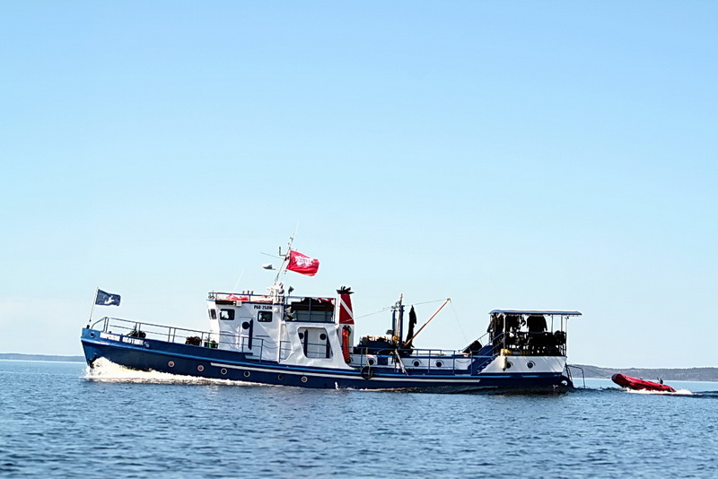 Ладога, RuDive, Белый Тюлень Ладога, RuDive, Белый Тюлень