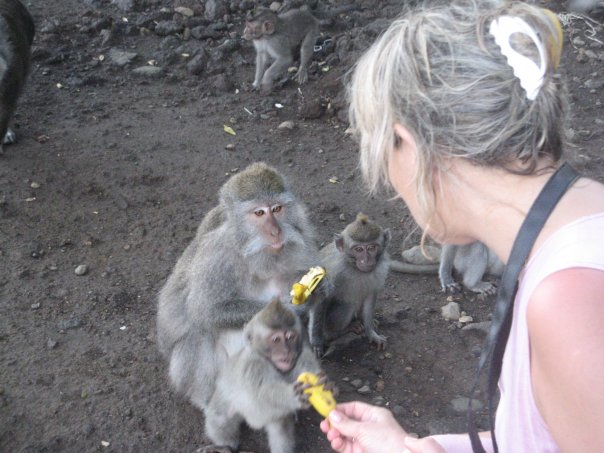 Обезьяны Обезьяны