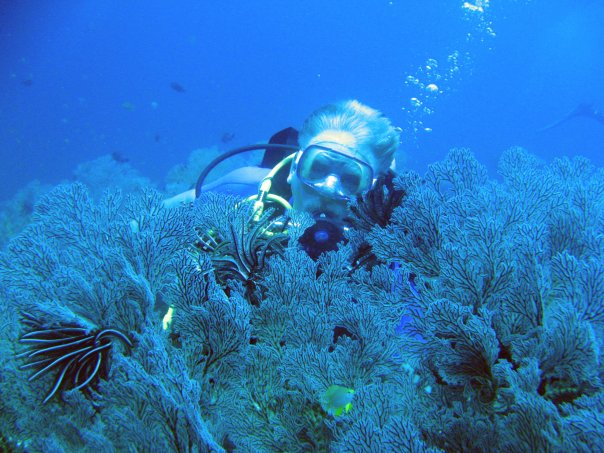 Володя Володя