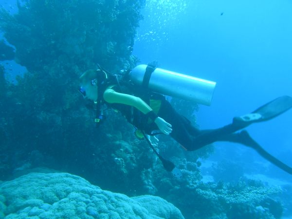 aquamaster5 aquamaster5