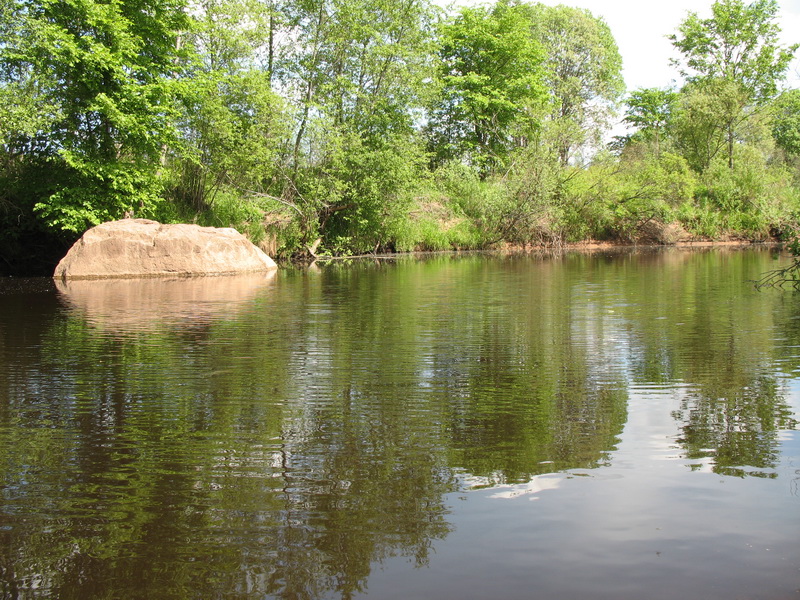 Ящера 2009 Ящера 2009