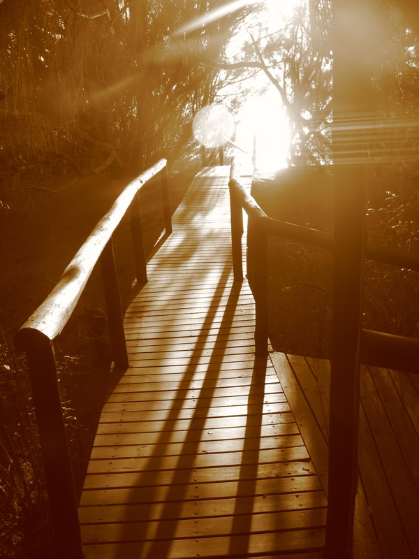 Ponta Mamoli Мозамбик Ponta Mamoli Мозамбик