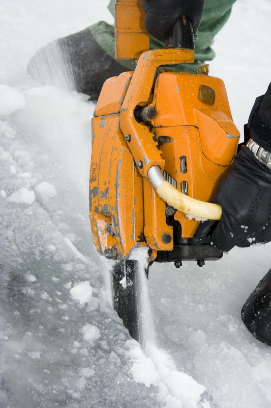 03/03/2007 Цвелодубово - Белый тюлень