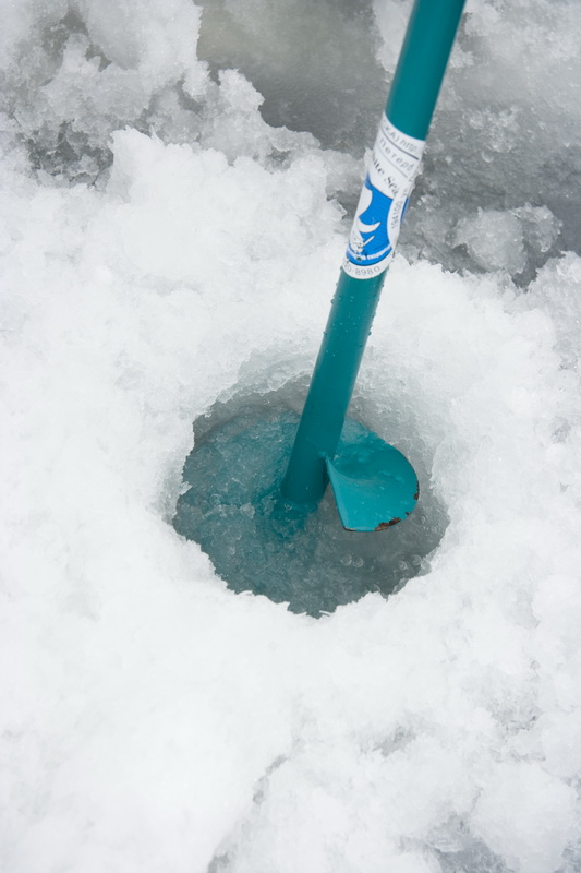 03/03/2007 Цвелодубово - Белый тюлень