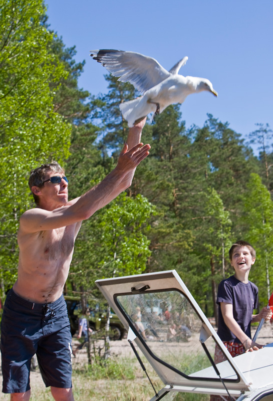 Воробьево озеро. 2009 Воробьево озеро. 2009