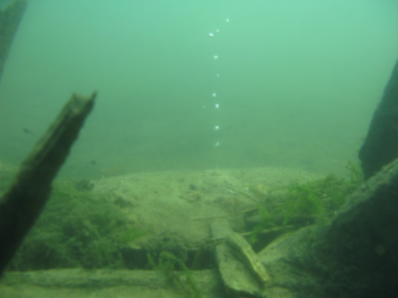 Волчье логово Волчье логово