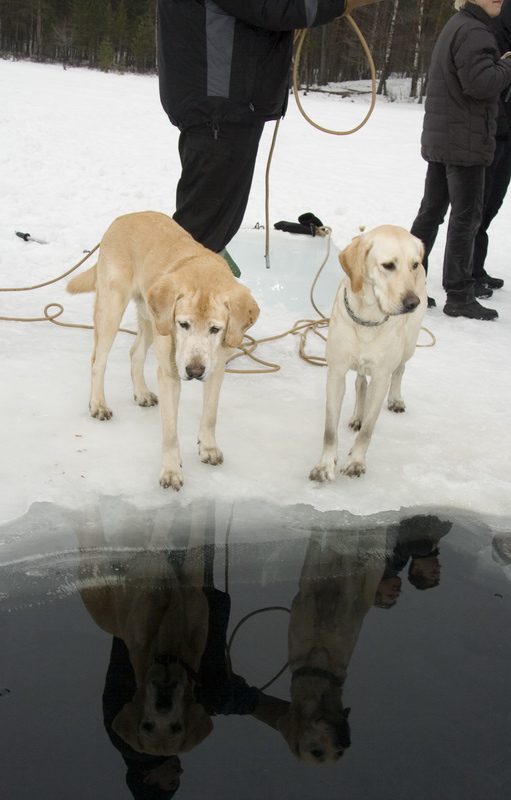 03/03/2007 Цвелодубово - Белый тюлень 03/03/2007 Цвелодубово - Белый тюлень