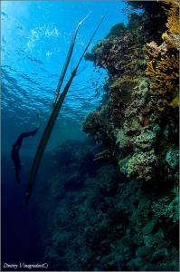 Фото Д.Виноградова, я _ "модель" Фото Д.Виноградова, я _ "модель"