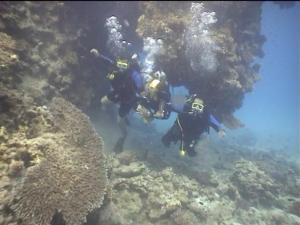 Вот такая небольшая одна из подводных пешер в рифе. Вот такая небольшая одна из подводных пешер в рифе.