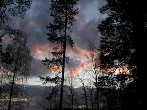 Воробьево Воробьево