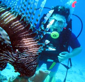 Красное море, ноябрь 2004 Красное море, ноябрь 2004