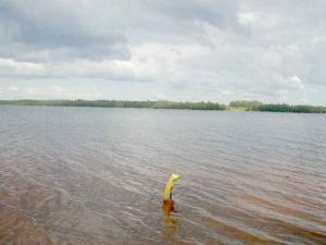 оно же оно же