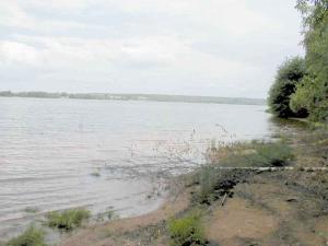 опять оно опять оно