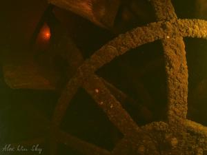 Колесник в 2012 Колесник в 2012