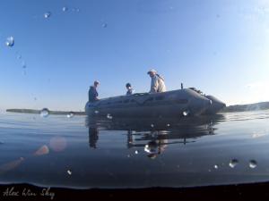 Колесник 2012 Колесник 2012