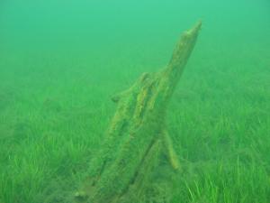 на оз.Комонь на оз.Комонь