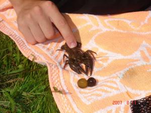 все там же все там же