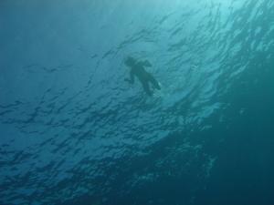 Эй вы там, наверху Эй вы там, наверху