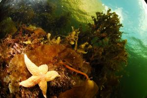 Фото Михаила Семенова. Фото Михаила Семенова.